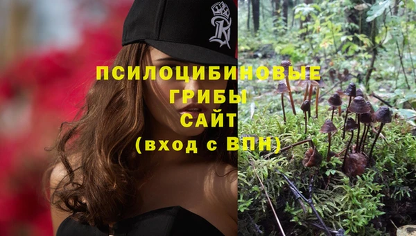 таблы Алзамай
