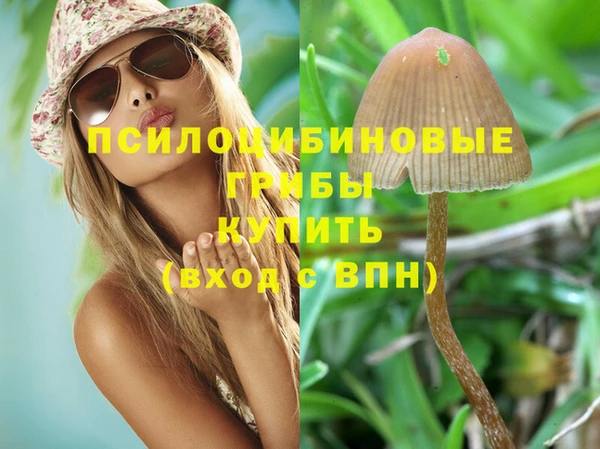 spice Пестово
