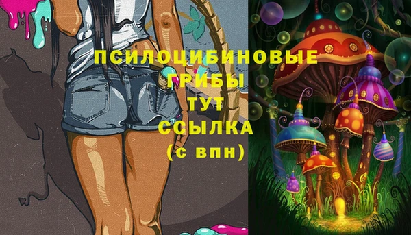 дурь Алексин